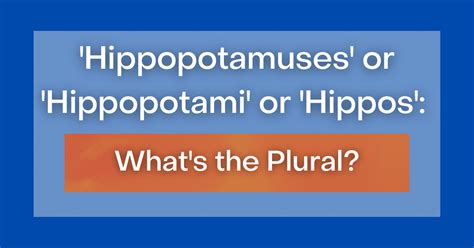 hippo synonym